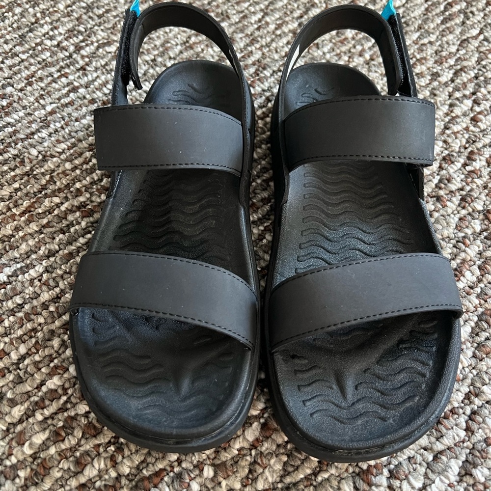 Ellis Sugarlite Sandal - Native Shoes